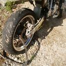 XR250 モタード