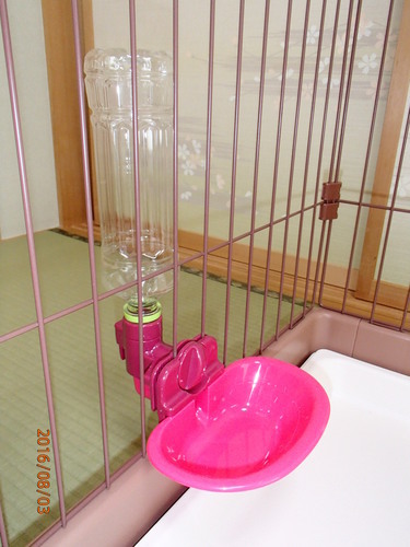 美品 ペットケージ 小型犬用 給水器 トイレトレー付 あこまる 南桜井のその他の中古あげます 譲ります ジモティーで不用品の処分