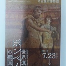 世界遺産 ポンペイの壁画展　チケット