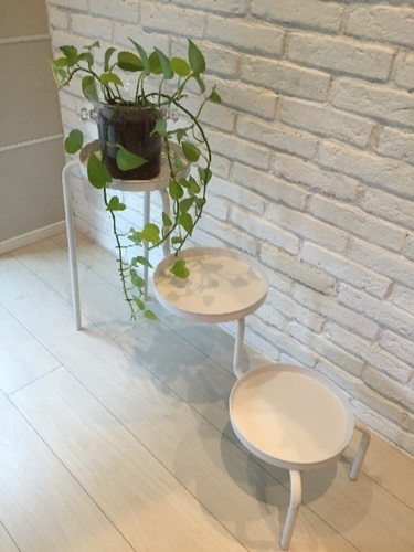 Ikea プラントスタンド ホワイト まる 江東の収納家具 棚 シェルフ の中古あげます 譲ります ジモティーで不用品の処分 Ikea プラントスタンド ホワイト まる 江東の収納家具 棚 シェルフ の中古あげます 譲ります ジモティーで不用品の処分