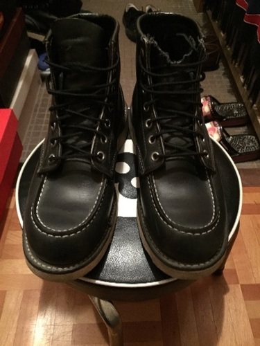 REDWING//アイリッシュセッター