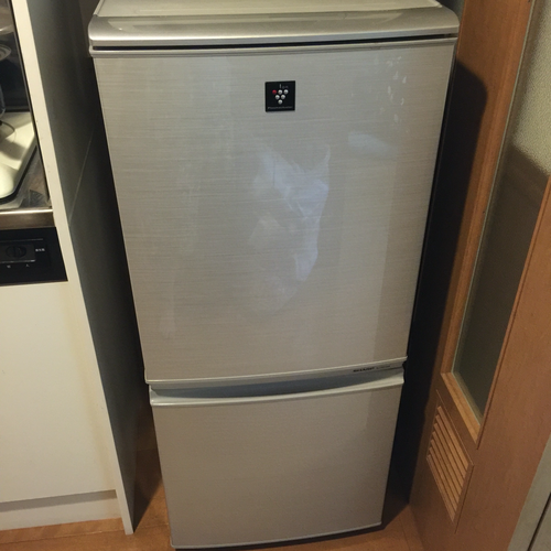 人気満点 冷蔵庫と洗濯機5.5kgセット SHARP シャープ 冷蔵庫