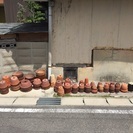 プランター、陶器の鉢    植物の鉢
