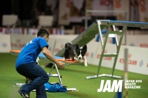 ドッグスクール 愛犬の躾 ドッグスポーツ ハニーサムオハナニコ 茅ヶ崎のその他の生徒募集 教室 スクールの広告掲示板 ジモティー ドッグスクール 愛犬の躾 ドッグスポーツ ハニーサムオハナニコ 茅ヶ崎のその他の生徒募集 教室 スクールの広告掲示板 ジモティー