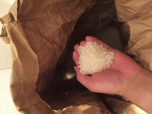 今年の新米からお米を買いませんか？