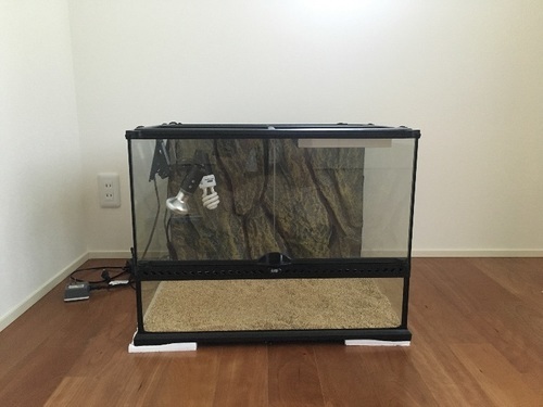 爬虫類等飼育ゲージ 美品