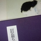 美品！入手困難！画集『昭和おんな秘図』（春画）