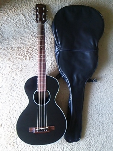 価格相談可】フジゲン製トラベルギターANBOY RE-2 エレキギター、ANBOY