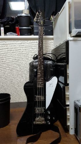 エピフォンサンダーバード