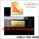 世界3大ピアノ　ベヒシュタインとのコラボモデル　CASIO電子ピアノ GP-310BK　