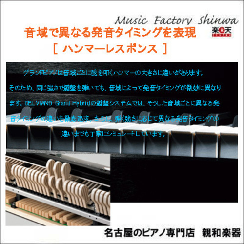世界3大ピアノ ベヒシュタインとのコラボモデル CASIO電子ピアノ GP-310BK