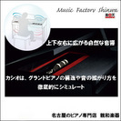 世界3大ピアノ　ベヒシュタインとのコラボモデル　CASIO電子ピアノ GP-310BK　