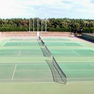 ソフトテニス @東京 - スポーツ