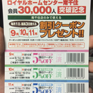 ロイヤルホームセンター5%割引クーポン×3