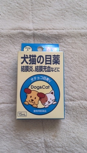 犬チョコ犬猫の目薬箱入り未開封 (ハロー) 金沢文庫のその他の中古 