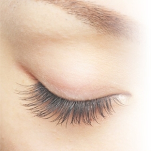 まつ毛エクステ エステサロン 3 500お試し100本まつ毛パーマ初回 1080 マシェリ 北野田のその他の無料広告 無料掲載の掲示板 ジモティー