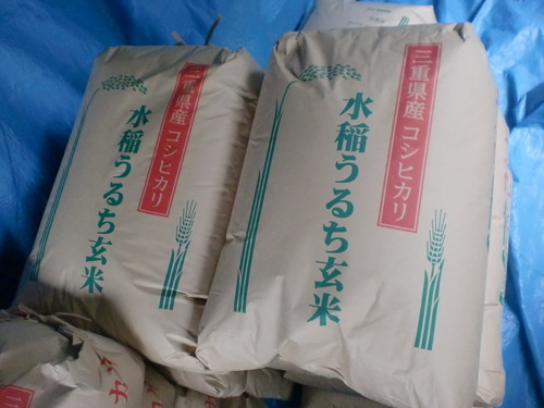 新米（28年産）コシヒカリ玄米30kg