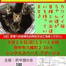 子猫の譲渡会を開催します♪（９月２５日(日)１３～１６時、@府中...