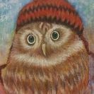 フクロウの絵
