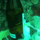 南島原市感動体験プログラム『海底貯蔵酒』 - 南島原市