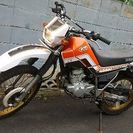埼玉県新座市より、これからの紅葉シーズン林道に、00年モデルDG08セロー225！！