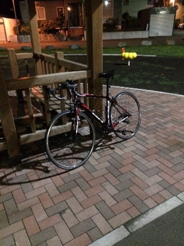 売れました ありがとうございました。