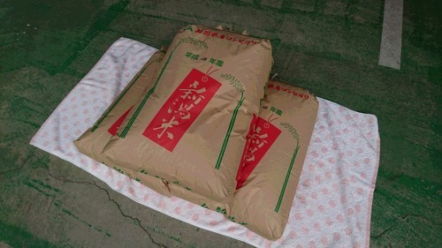 新米 平成28年度産コシヒカリ玄米30ｋｇ 限定3袋（あと１袋！）早い者勝ち発送可。
