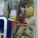 釣り バス 池 川 いろいろ