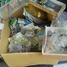 釣り バス 池 川 いろいろ