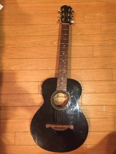 james ミニアコースティックギター アコギ