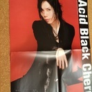 acidblackcherry2009ポスター