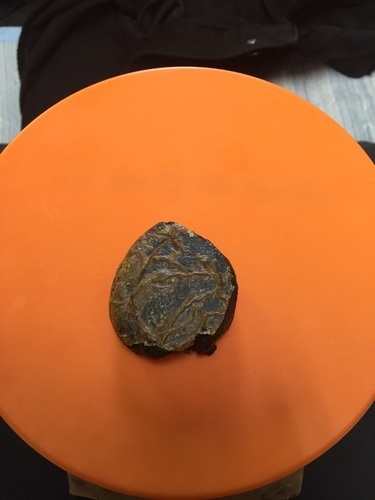 熊の胆約45g