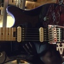 peavey evh wolfgang special purple.