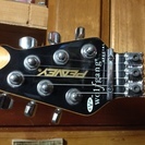 peavey evh wolfgang special purple.