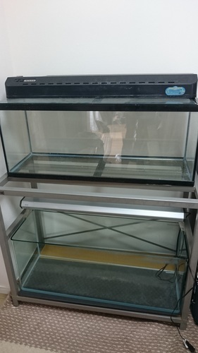 値下げ！【お得】アクアリウム用品（90cm水槽セット、水槽台付き、おまけ有）