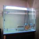 熱帯魚水槽　売ります