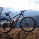 MERIDA BIGlNineフルカーボンフレーム