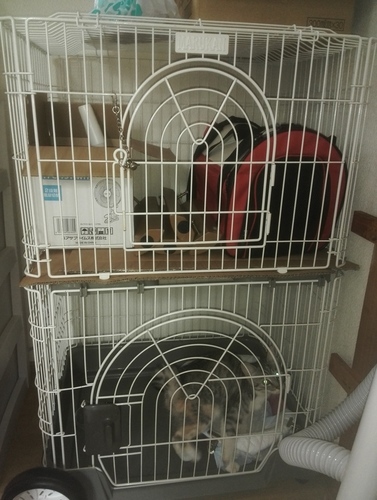 ねこ用2段ケージ