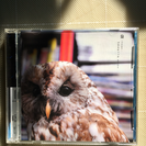 Plastic Tree 梟フクロウ CD+DVD