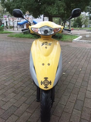 ホンダディオ AF56 , 黄色,