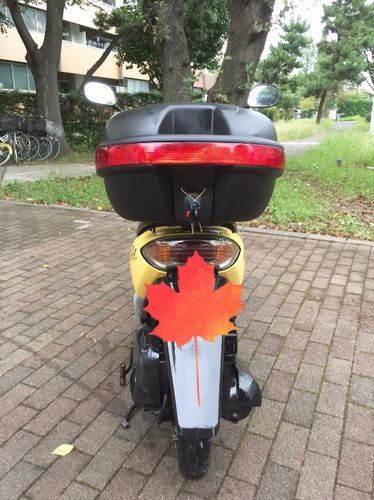 ホンダディオ AF56 , 黄色,