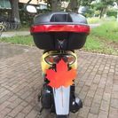ホンダディオ AF56 , 黄色,