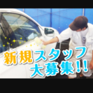 新車の洗車業務スタッフ大募集!!