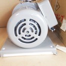 岩谷電機 イワヤポンプ IWY 251STX502 ステンレスうず巻ポンプ 未使用品