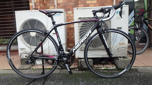 ２０１６　ＭＥＲＩＤＡ ＳＣＵＬＵＴＵＲＡ ３０００