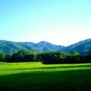 新米！山口県阿東産コシヒカリ３０ｋｇ玄米【収穫直後の新米！生産農家直売！数量限定の超特価販売です。】