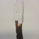 【成立】Phenix　フェニックス　スキーウェア スノーボードウェア　上下セット　レディースM　新品　2016モデル 