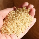 くず米　新米ヒノヒカリ玄米30キロ 新米 令和5年 産 ヒノヒカリ 玄米30キロ 淡路島 小分け可 30kg