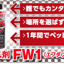 FW1 3 Pack Wash Polish Wax Your Car