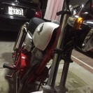エイプ50
